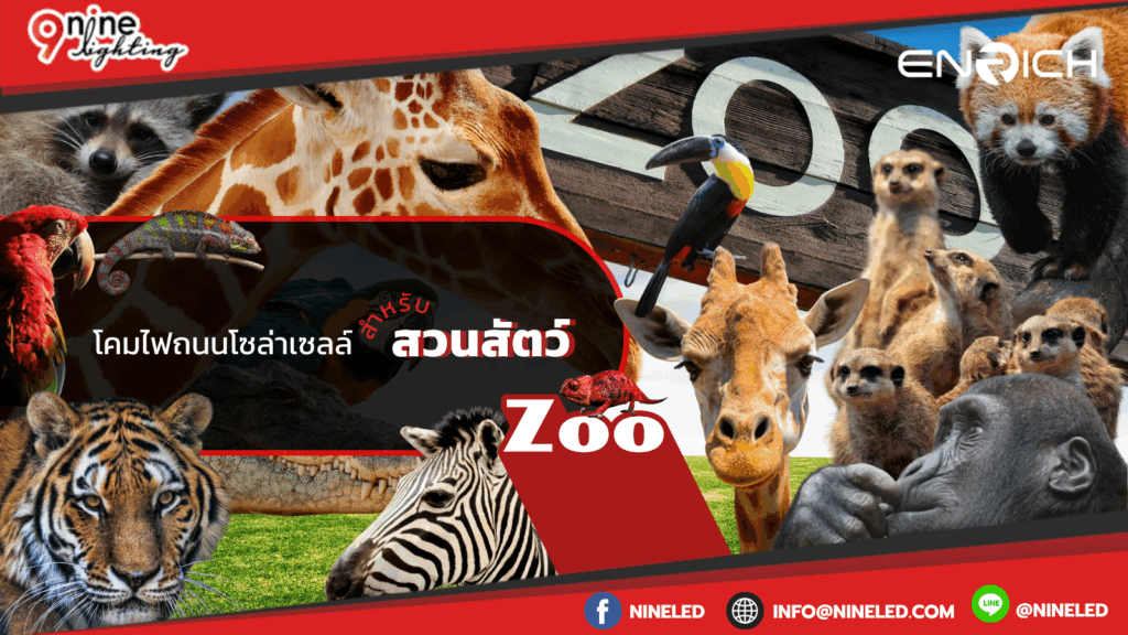 โคมไฟเพดาน.com
