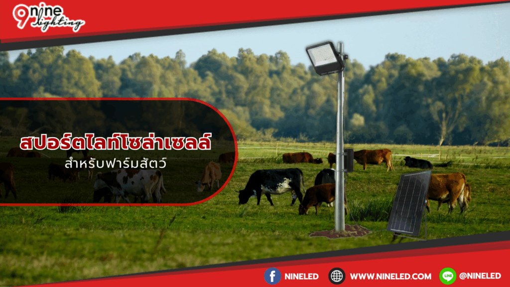 โคมไฟเพดาน.com
